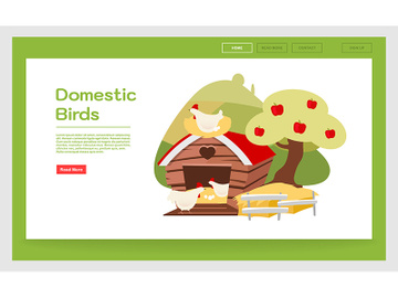 Domestic birds landing page template preview picture