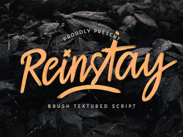Reinstay - Brush Textured Script Font preview picture