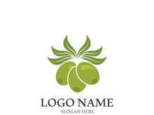 olive icon vector illustration design template