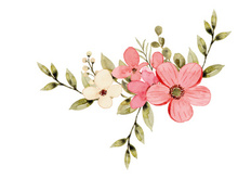 Vector Flower Watercolor Illustration