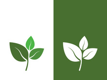 Logos of green tree leaf ecology nature element vector