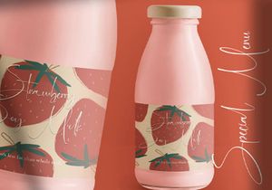 Martin Zidan - Signature Script Font