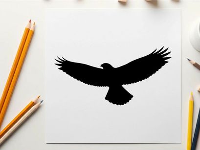 Silhouette of a bird in flight with outstretched wings