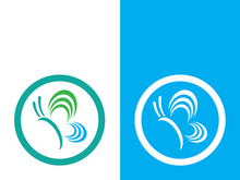 Butterfly logo icon vector design illustration