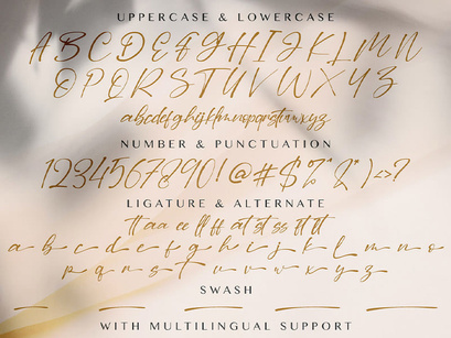 Dilan Script - Handwritten Font