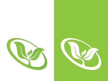Green tree leaf nature logo images illustration design