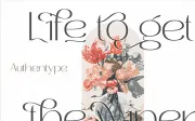 Roses Bolero Elegant Sans Serif