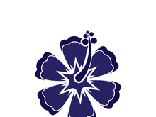 Flower vector icon design template illustration