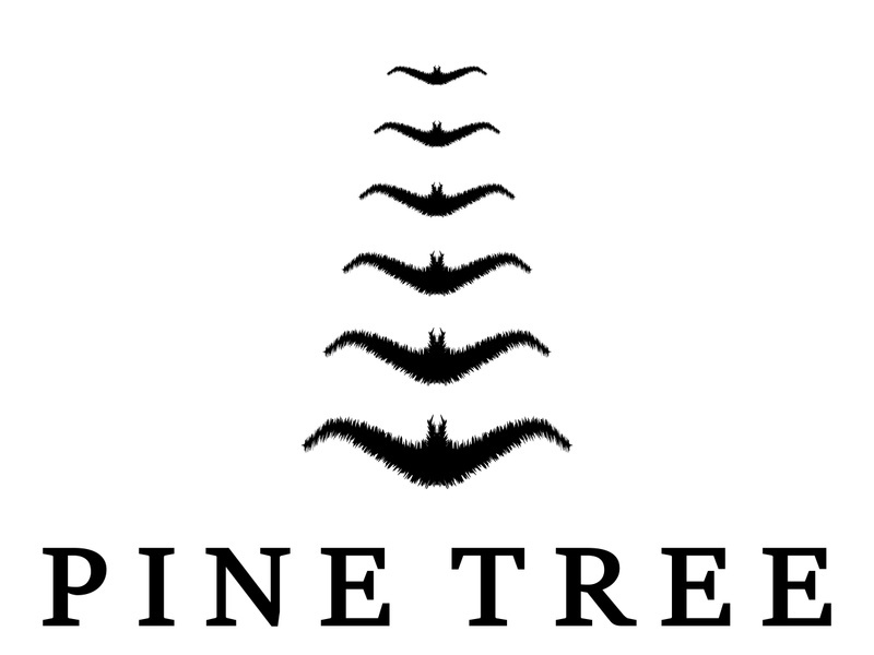 simple pine or fir tree logo,evergreen.for pine forest,adventurers,camping,nature,badges and business.vector