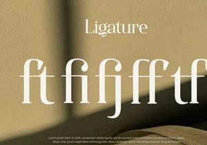 Qualifies - Serif Font