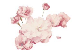 Vector Flower Watercolor Illustration