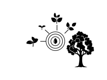Silhouette of tree growth stages from seed to maturity