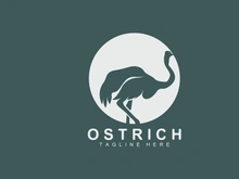 Ostrich Logo Design, Desert Animal Illustration, Living In The Forest, Vector Camel Brand Product