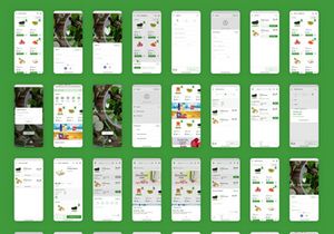 Grocery Delivery App