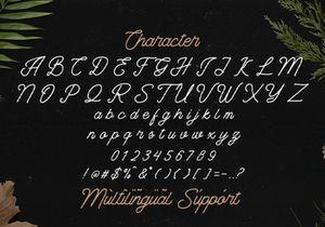 The Banten - Monoline Script Font