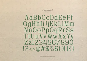 Defilao Vertes | New Vintage Serif