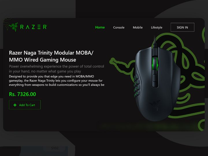 RAZER Landing Page Design