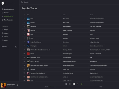 MusicPulse v1.0 - Music Streaming Engine