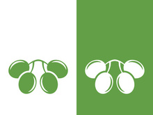 olive icon vector illustration design template