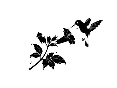 Silhouette of hummingbird feeding from flower branch