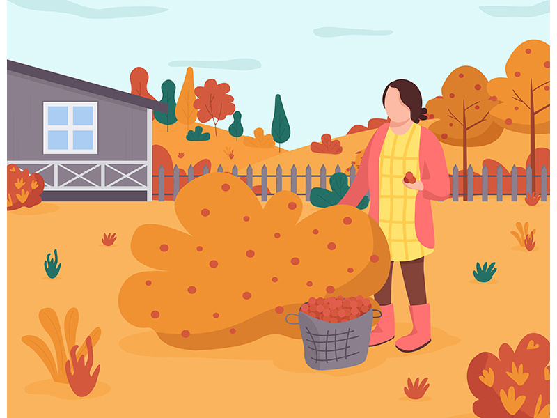 Fall garden semi flat vector illustration