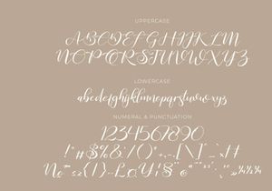 Raghide Script Font