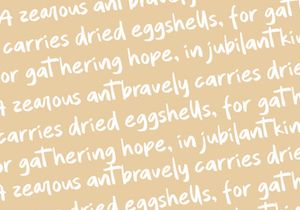 Quintero Script Font