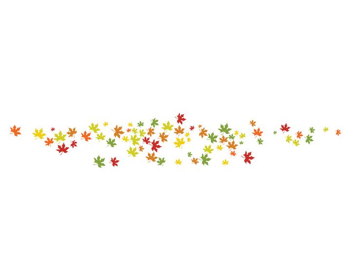 Maple Leaf design illustration