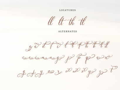 Wenstormy | Calligraphy Script