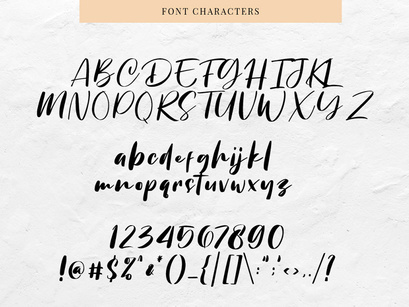 Chellyne - Modern Script Font