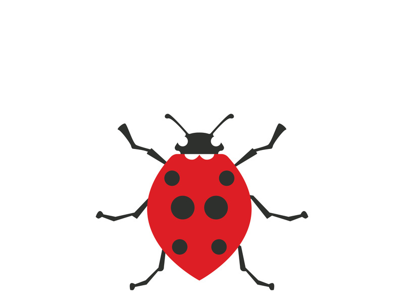 ladybird animal  vector logo symbol icon