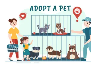 15 Pet Adopt Illustration