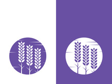 Fresh lavender flower logo vector flat design