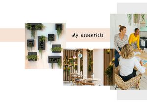 Multipage landing page Branding