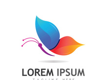 Beautiful and colorful butterfly creative logo design.