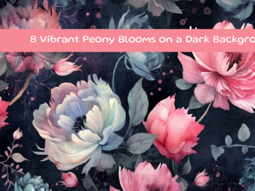Vibrant Peony Blooms on a Dark Background preview picture