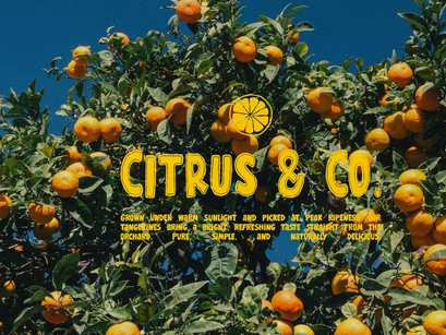 Wonky Dongki | Hand Drawn Display Font