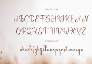 Famtehyo | Handwritten Script