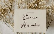 Aethelgard | Handwritten Script