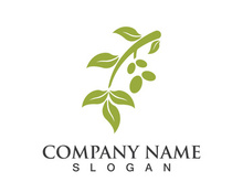 Extra virgin olive oil logo icon design vector illustration