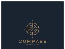 compass icon isolated on background.modern flat compass pictogram,business,marketing,internet concept.trendy simple vector symbol for websitedesign or button to mobile app.logo illustration.