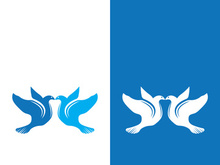 Dove bird logo vector design illustration
