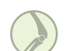 Joint bones vector logo design for orthopedic clinics and diagnostic centers