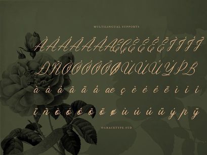 Ubel Amour | Elegant Vintage Script