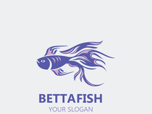 Betta fish modern logo style design vector image illustration