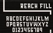 Reach Display Font Family