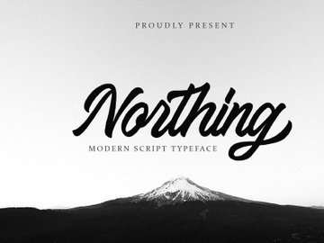 Northing - Modern Script Font preview picture
