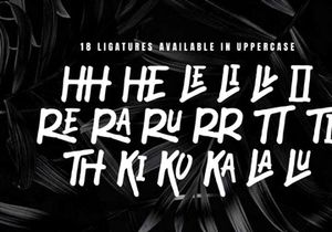 PALAKKA - Handwritten Font