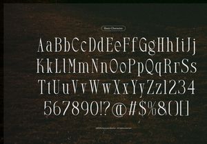 Arkvell | Modern Display Serif