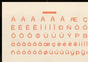 Arche Sans | Vintage Sans Serif